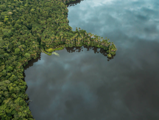 Jungla Amazónica