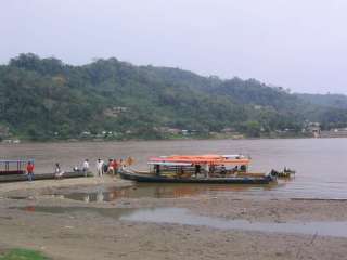 The Amazon Jungle (Day 2)