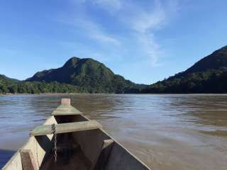 The Amazon Jungle (Day 3)