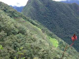 Camino Inca día 4