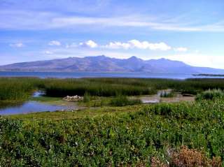 Lake Titicaca and its floating islands!