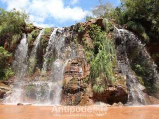 Amboro National Park (Day 2)