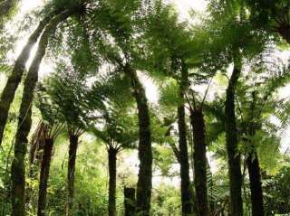 Amboro National Park (Day 2)