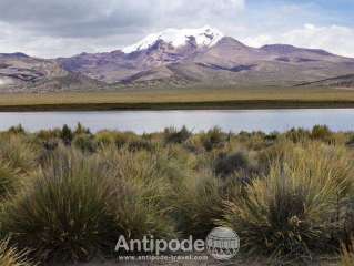 Sajama National Park