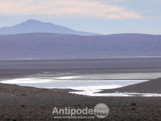 The beauties of the South Lipez