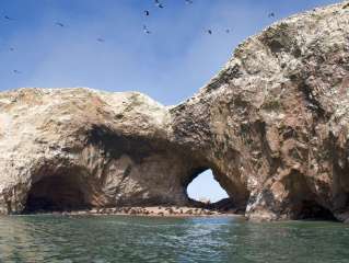 The Ballestas Islands and the Oasis of Huacachina