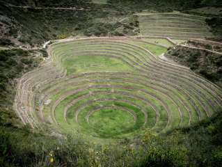 Moray