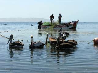 Road to Paracas