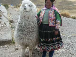 Travesía por el Altiplano entre Puno y Cusco