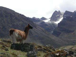 Choro Trek (day 2)