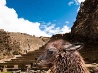 Valle Sagrado