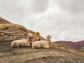 Visite de la moantagne colorée de Palccoyo