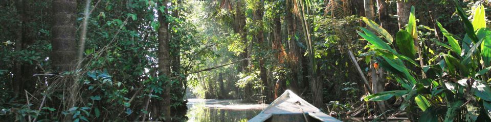 Excursion en Amazonie : le parc de Manu