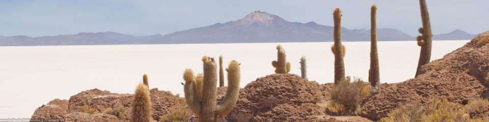 Le survol des Andes boliviennes