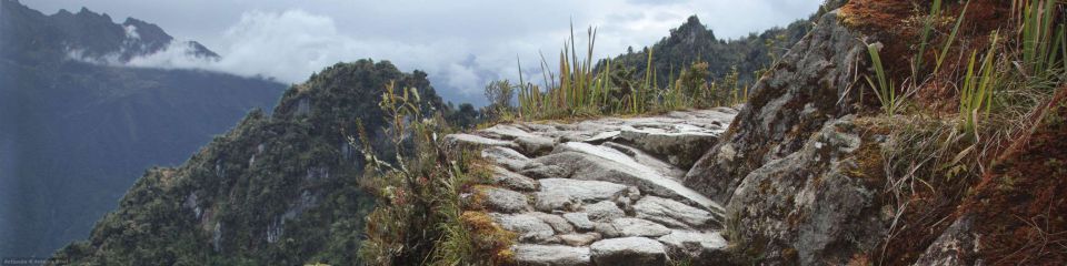 The Andean steps