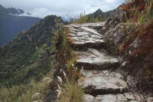 The Andean steps
