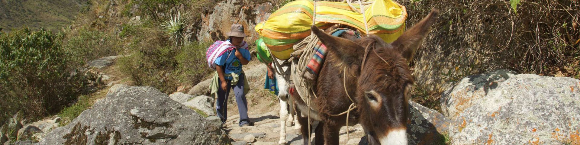 Inca Trail | MachuPicchu