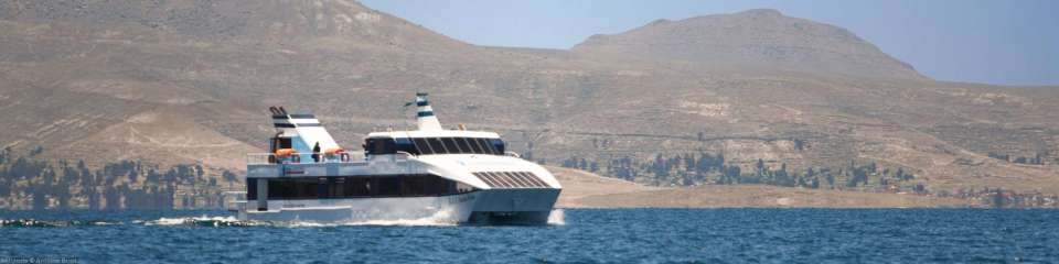 Cruises